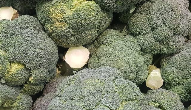 Broccoli