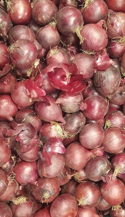 Red Onions