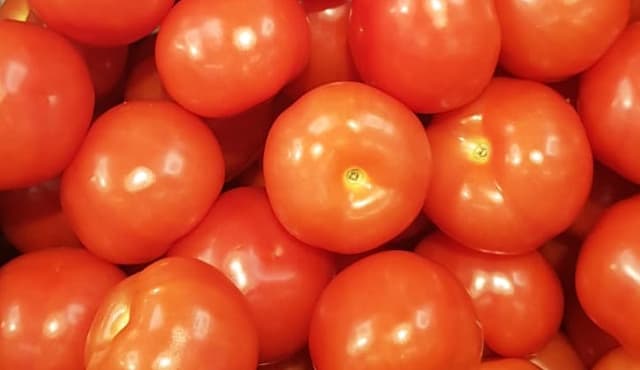 Tomatoes