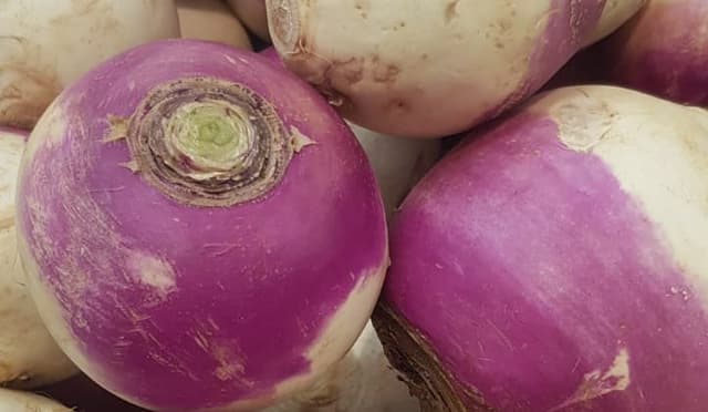 Turnips