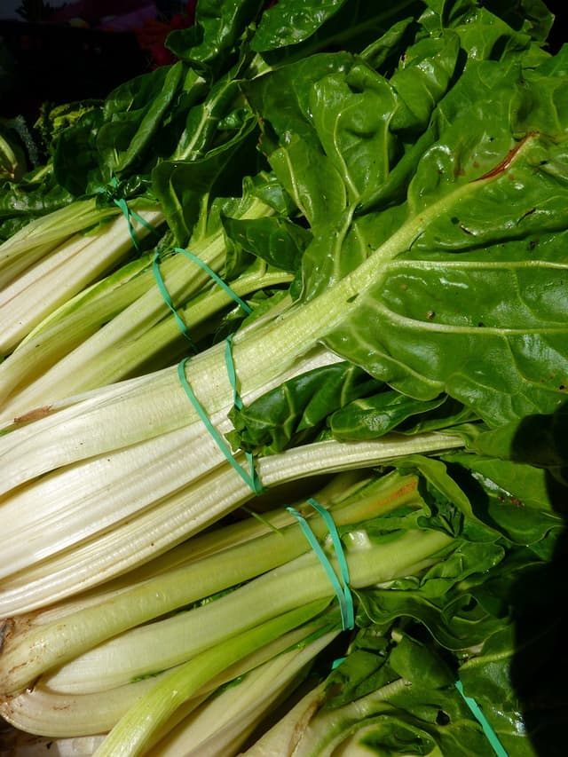 Swiss Chard