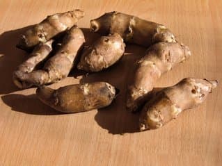 Jerusalem Artichoke