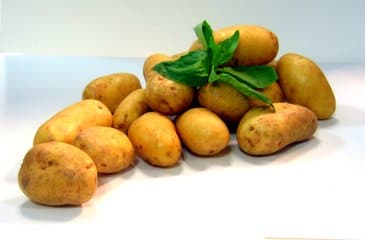 New Potatoes